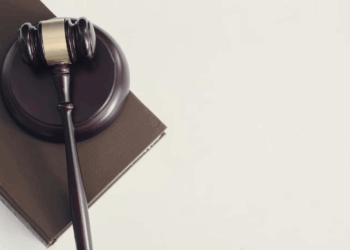 Глава района Новосибирской области похитил деньги на покупку домов для детей-сирот