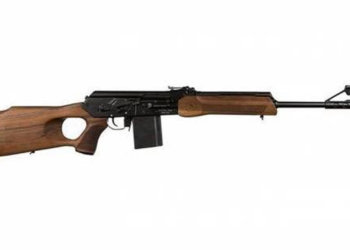 Условкой отделались браконьеры за отстрел косули и двух лосей под Новосибирском