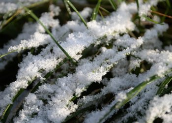 Какая погода ждет Новосибирск на короткой рабочей неделе?