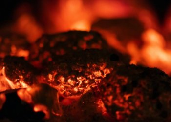 Более 30 пожаров произошло в Новосибирске за неделю — есть погибший