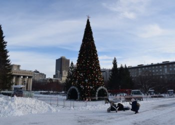 Главную елку в Новосибирске установят к 1 декабря