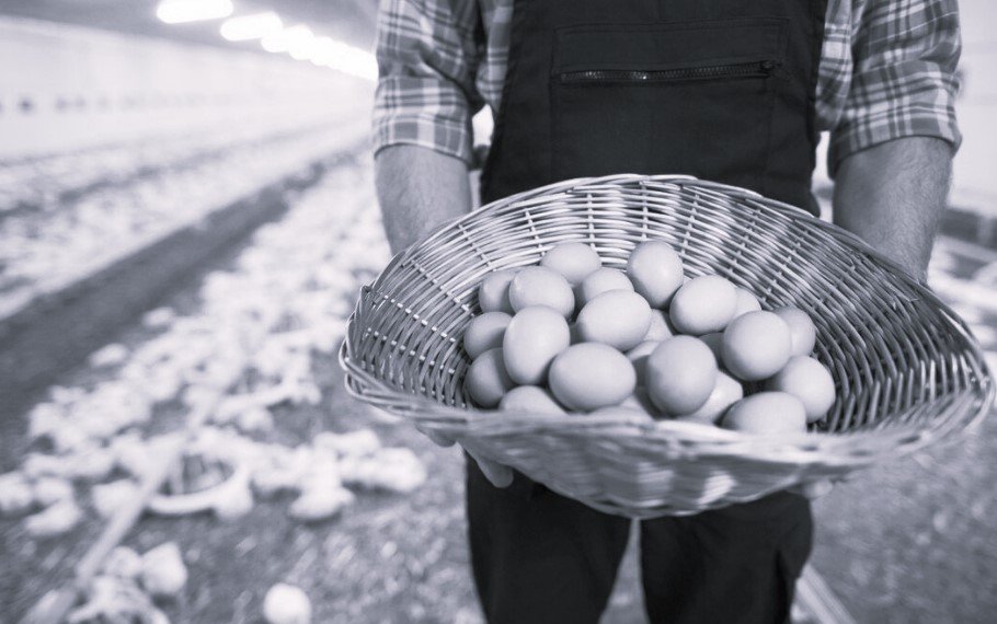 Подросток остался без руки после работы на птицефабрике в Омске