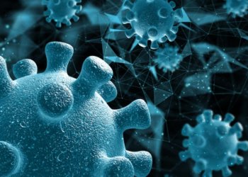 Новый вирус Коксаки появился в российских детских садах и школах