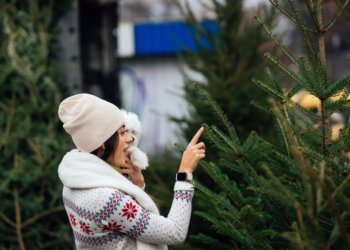 Елочные базары откроются в Новосибирске 1 декабря