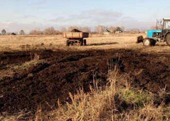 Тракторы почистили нелегальную свалку под Новосибирском