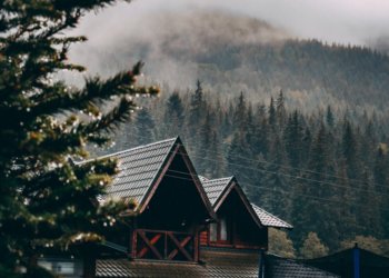 Компания из Новосибирска расширяет номерной фонд турбазы на Алтае с помощью ЦФА