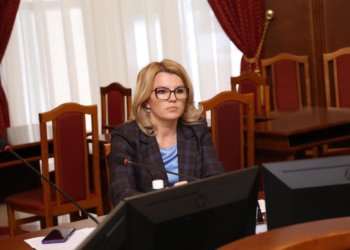 Бюджетный комитет в заксобрании Новосибирской области возглавила Ирина Диденко