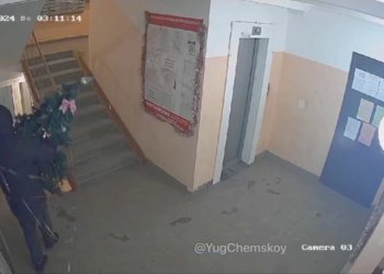 Похититель новогоднего настроения: Новосибирец украл елку из подъезда