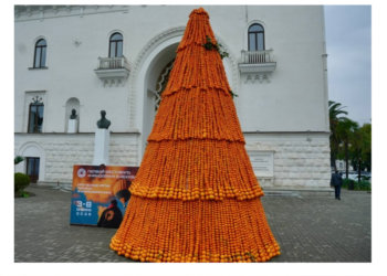 Пятиметровую ёлку из мандаринов установили в Абхазии