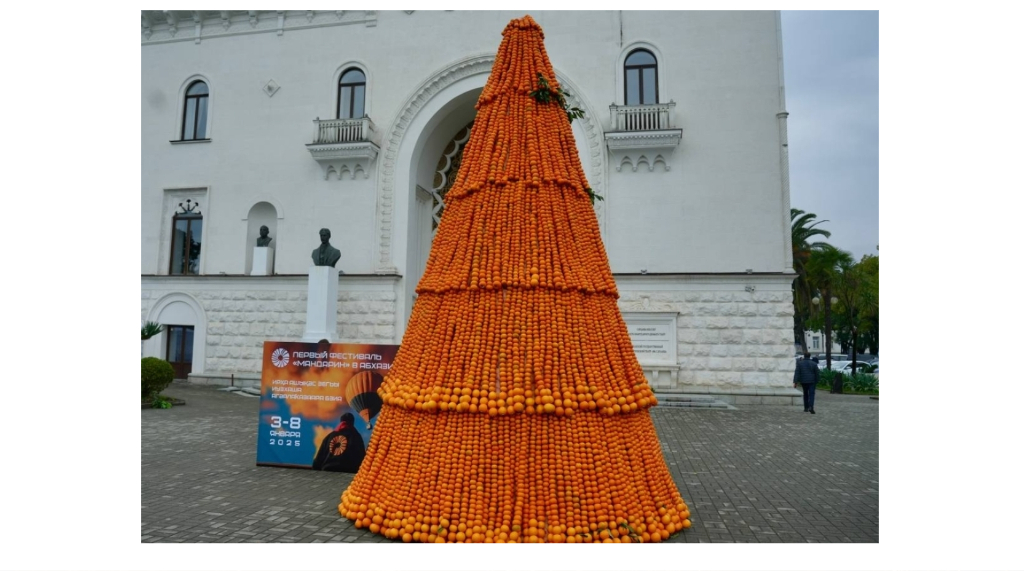 Пятиметровую ёлку из мандаринов установили в Абхазии