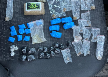 В Новосибирской области сотрудники полиции задержали группу оптовых наркокурьеров