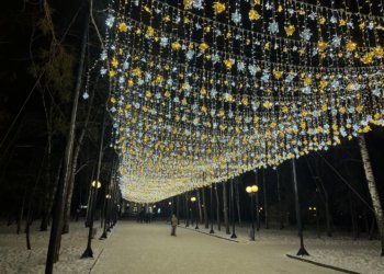 В Новосибирске потратили более полумиллиона на новогоднее освещение