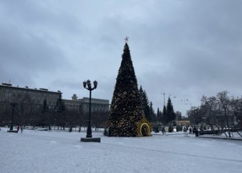 В Новосибирске откроют 4 районные ёлки на выходных