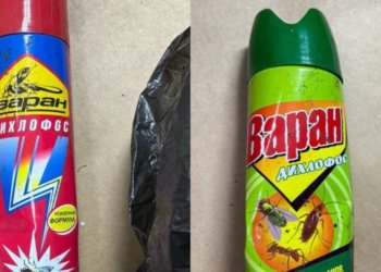 Причину гибели четырёх детей из Красноярского края установили следователи