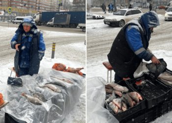 Сомнительный улов: в Новосибирске изъято 40 кг рыбы