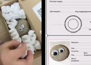 Дети скупают камни с глазами на маркетплейсах