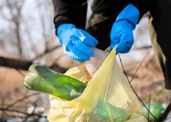 Депутаты Новосибирской области обсудили ликвидацию свалок