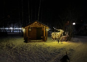 Погода на неделю: декабрь начнется с тепла в Новосибирске