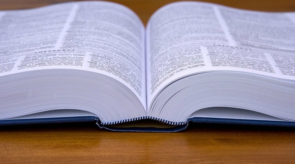 В России создадут «Национальный словарный фонд»