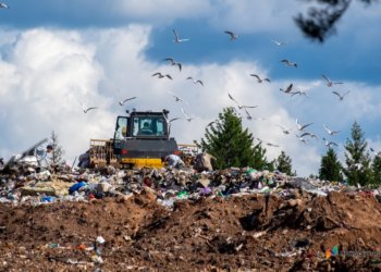 Две свалки ликвидируют под Новосибирском почти за 5 млн. рублей