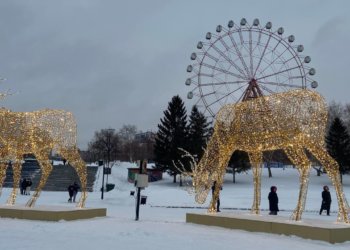 Обзор короткой рабочей недели: что интересного произошло в Новосибирске и регионе?