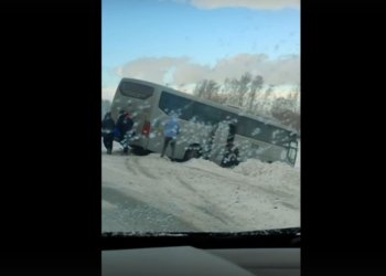 Автобус с 17 пассажирами улетел с трассы в кювет в Новосибирской области