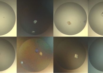 Новосибирские ученые вырастили кристаллы ДНК белков, влияющих на устойчивость к лекарствам