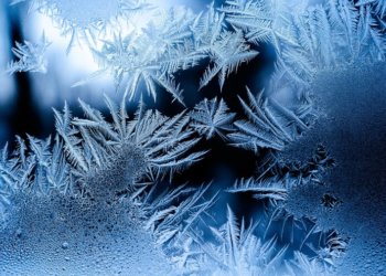 В МЧС новосибирцам напомнили о правилах безопасности в морозы