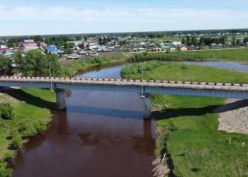 В Новосибирской области ограничат движение по мосту через реку Тара