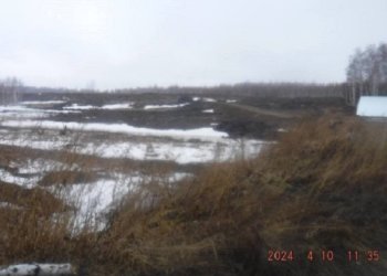 Фирма заплатит полмиллиона за грязную реку под Новосибирском