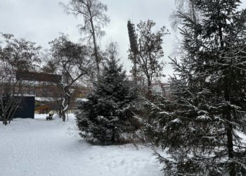 Житель Омска три раза продал несуществующий холодильник