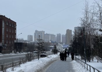 Житель Омска три раза продал несуществующий холодильник