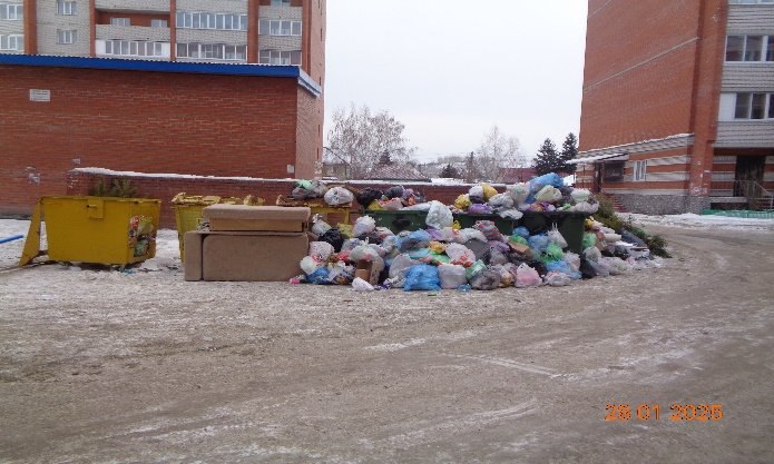 В Искитиме — мусорный коллапс: глава города требует от регионального оператора решения проблемы