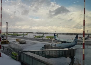 Научный фестиваль пройдет в Новосибирске в феврале