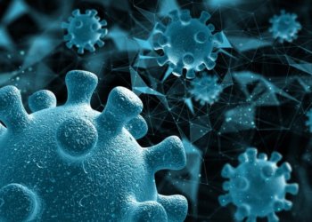 Вспышка вируса оспы обезьян зарегистрирована в Китае