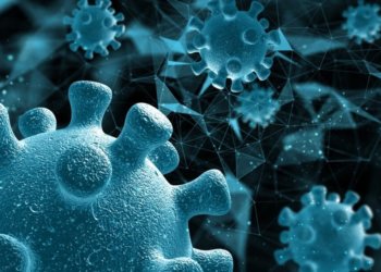 Роспотребнадзор прокомментировал риски распространения в РФ новой болезни из Индии