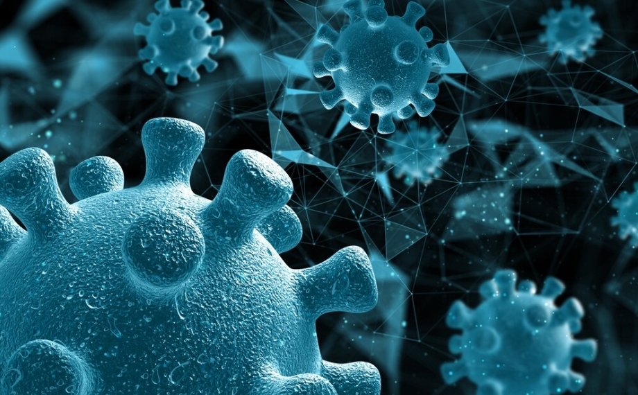 Вспышка вируса оспы обезьян зарегистрирована в Китае