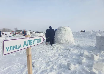 Фестиваль снежных Иглу пройдет в Новосибирске 15 февраля
