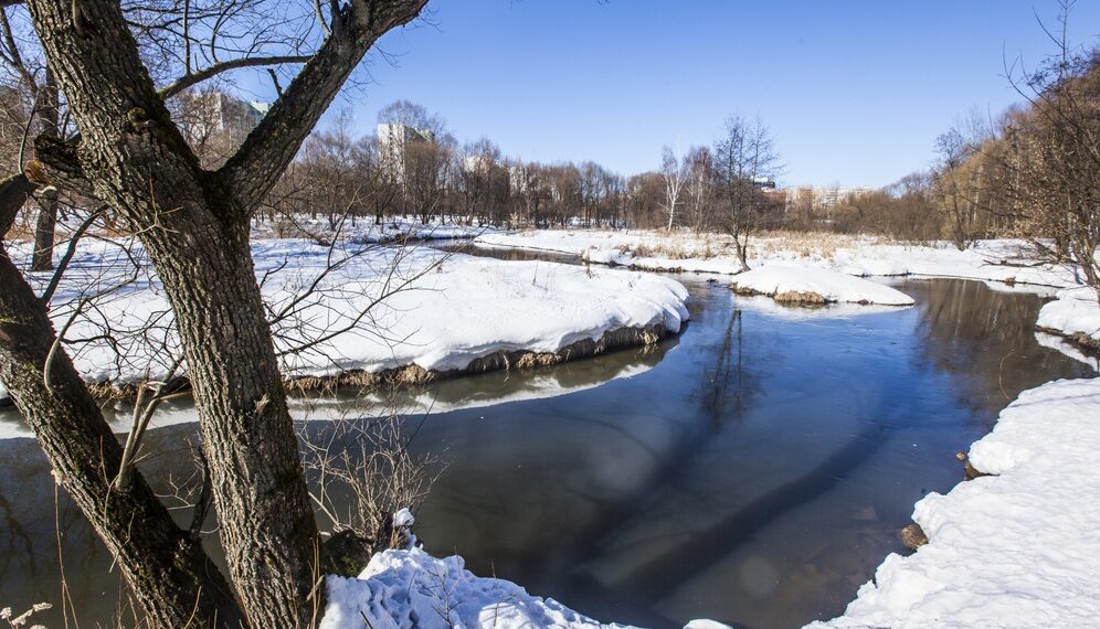 Весна 2025: Гидрометцентр прогнозирует рекордное потепление для большинства регионов России