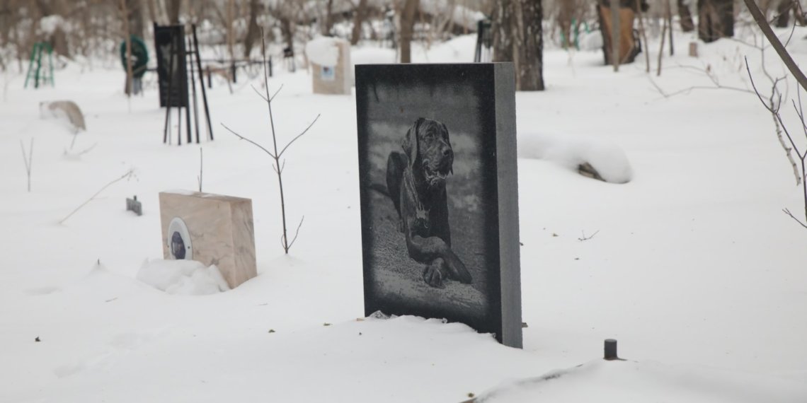 Новосибирцам грозит штраф до 700 тысяч за выброс мертвых животных в мусорки