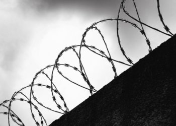 Пожизненный срок грозит экс-депутату Госдумы Илье Пономареву*