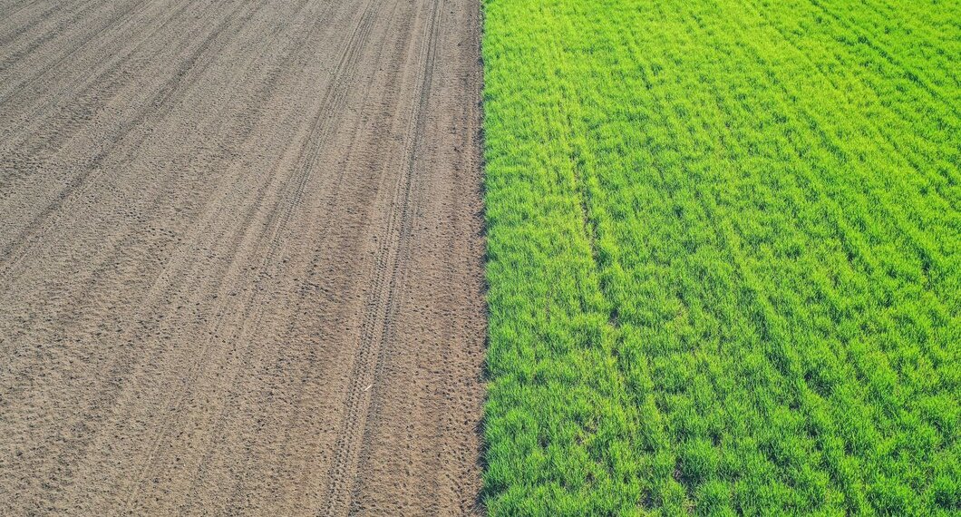 Безвредный для пчел препарат от вредителей посевов создали в Новосибирске