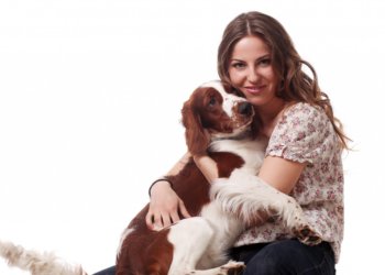 Единый реестр домашних животных хотят создать в России