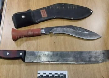 Суд арестовал пенсионера, набросившегося с мачете на попутчиков в поезде под Новосибирском