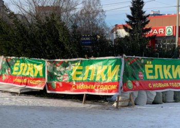 В пять раз выросло количество утилизированных елок в Новосибирске