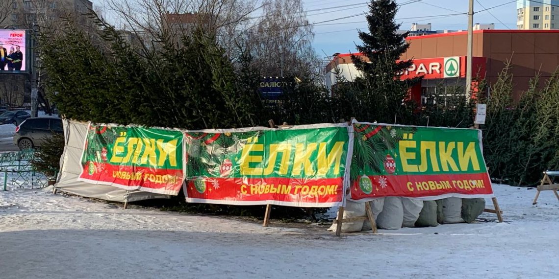В пять раз выросло количество утилизированных елок в Новосибирске