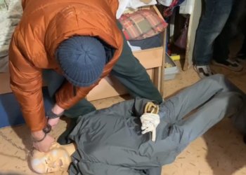 В Новосибирске мужчина зверски убил пенсионерку и ее кошек