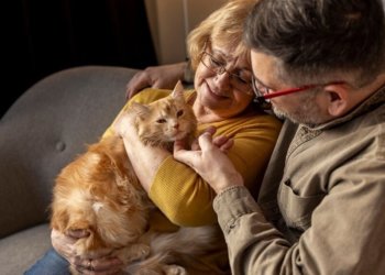 Фестиваль в поддержку животных из приютов пройдет в Новосибирске