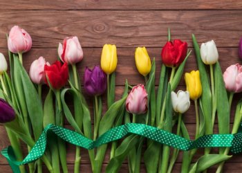 Сибирь расцветает к 8 марта: таможенники оформили более 50 тонн импортных цветов