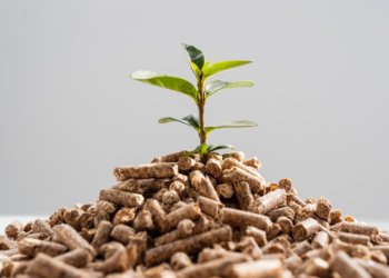 Новосибирского председателя кооператива оштрафовали за экологические нарушения при утилизации отходов